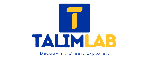 talimlab.com